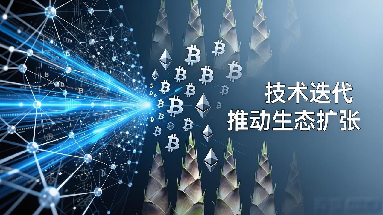 为什么新发数字货币像雨后春笋？